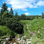 Zielone Wzgorze 1