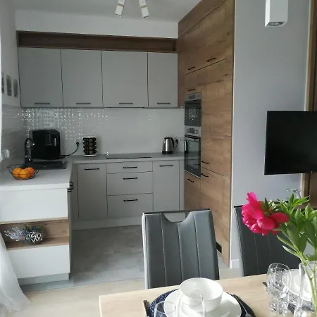 Zielone Wzgorze Apartment *