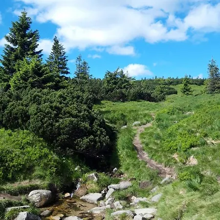 Zielone Wzgorze 1