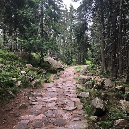 Zielone Wzgorze 1 Apartmán