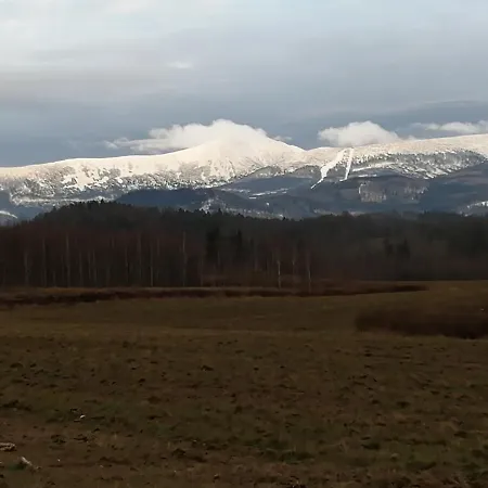 Zielone Wzgorze
