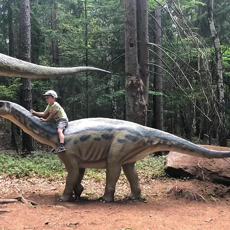 Zielone Wzgorze 1 * Jelení Hora