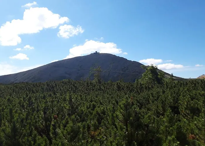 Zielone Wzgórze 1 Jelenia Góra