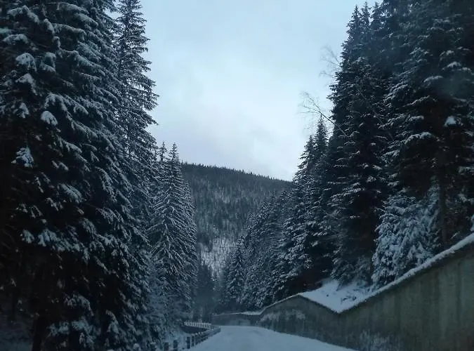 Zielone Wzgorze 1 Jelenia Gora