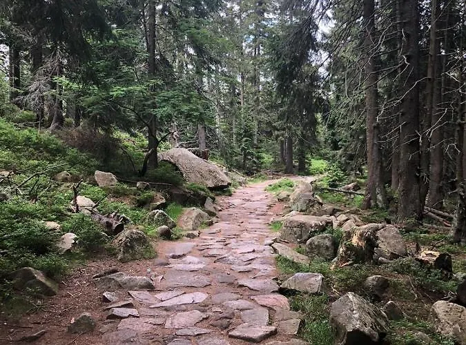 Zielone Wzgorze 1 Appartamento