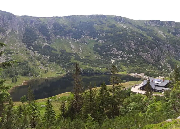 Zielone Wzgorze 1 Appartamento *