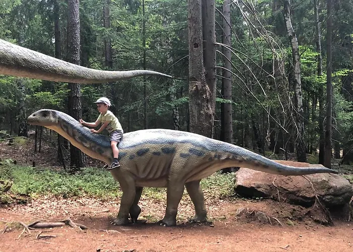 Zielone Wzgorze 1 * Jelenia Góra